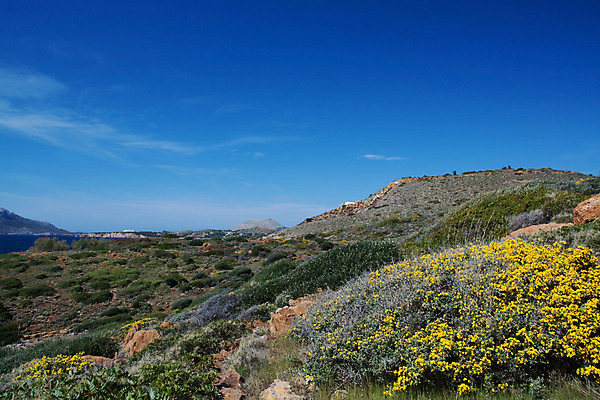 포토 JPG 해외이미지 바다 자연 풍경 사람없음 봄 지중해 그리스 지역 그리스인 해외202004 해외포토 서양인 계절 유럽 생태계 파일형식 이미지허브