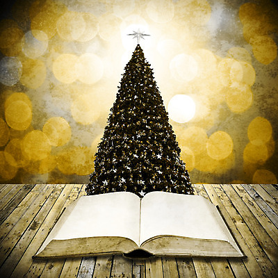 포토 JPG 해외이미지 나무 계절 교육 행복 별 백그라운드 크리스마스 겨울 오렌지 추상 휴가 휴식 새해 이야기 미술 이벤트 사람없음 그래픽 장식 책 초록색 빛 크리스마스트리 축제 성경 장식볼 수확 나뭇가지 축하 소나무 화려 12월 연도 읽기 만족 보케 상록수 고립 엘리먼트 스타일 해외202004 해외포토 자연요소 식물 기념일 감정 컬러 컨셉 무늬 농업 과일 종교용품 모션 문화예술 날짜 파일형식 이미지허브