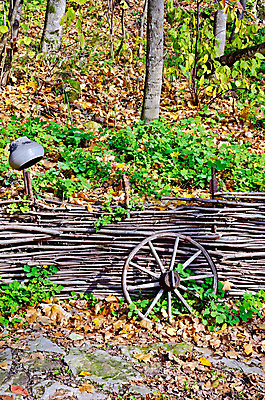 포토 JPG 해외이미지 나무 전통 문화 벽 백그라운드 잎 자연 미술 사람없음 야외 목재 장식 세로 초록색 울타리 갈색 노란색 검은색 골동품 가을 시골 바퀴 거친 냄비 숲 컨테이너 철 오브젝트 부식 복고 과거 장면 구식 옛날 해외202004 해외포토 식물 계절 산업 컬러 컨셉 재료 문화예술 담장 솥 생태계 파일형식 이미지허브