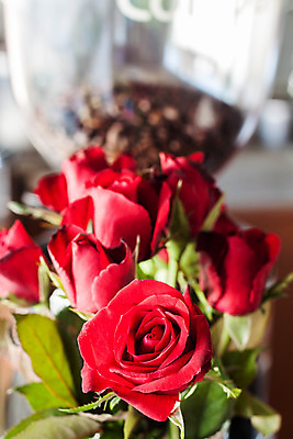 포토 JPG 해외이미지 식물 기념일 꽃잎 꽃 꽃다발 백그라운드 잎 꽃무늬 자연 유리 결혼식 발렌타인데이 선물 사랑 사람없음 장식 빨간색 초록색 물 장미 정원 꽃병 축제 활발 성장 물방울 축하 신선 개화 사발 의식 다발 순수 질감 향기 냄새 열정 악취 해외202004 해외포토 자연요소 감정 컬러 결혼 컨셉 무늬 데이이벤트 재질 이벤트 사기그릇 생태계 파일형식 이미지허브