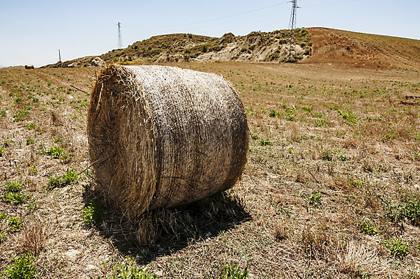 포토 JPG 해외이미지 구름 빵 농업 오렌지 조류 사람없음 빨간색 햇빛 태양 농장 노란색 일출 성경 일몰 이탈리아 수확 가을 시골 황금 볏짚 낟알 땅 자르기 밀 만들기 보리 뭉치 넘어짐 수평선 해외202004 해외포토 자연요소 동물 계절 유럽 산업 음식 컬러 과일 종교용품 모션 곡류 노을 짚 파일형식 이미지허브