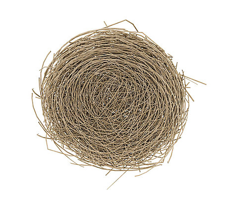 포토 JPG 해외이미지 나무 아이콘 디자인 실루엣 야생동물 백그라운드 일러스트 자연 조류 수채화 부활절 주택 사람없음 그래픽 바구니 정원 계란 봄 흰색 나뭇가지 신용카드 둥지 사냥 심플 새장 밀짚 고립 엘리먼트 해외202004 해외포토 식물 동물 계절 기념일 컬러 촬영기법 건물 금융 알 짚 생태계 케이지 파일형식 이미지허브