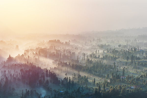 포토 JPG 해외이미지 나무 구름 계절 공원 선 여행 백그라운드 잎 자연 하늘 아침 산 풍경 사람없음 야외 초록색 여름 빛 컬러풀 햇빛 태양 일출 환경 검은색 일몰 새벽 안개 소나무 숲 인도네시아 침엽수 내추럴 뿌연 수목 전국 해외202004 해외포토 주간 자연요소 식물 공공시설 아시아 컬러 날씨 노을 생태계 파일형식 이미지허브