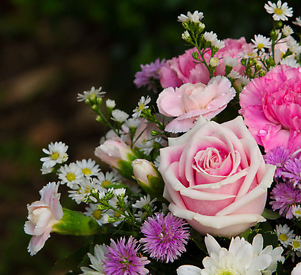 포토 JPG 해외이미지 식물 디자인 계절 분홍색 꽃다발 백그라운드 잎 꽃무늬 자연 휴가 선물 미술 사람없음 장식 빨간색 초록색 컬러풀 장미 벚꽃 신선 우아함 플라스틱 인공 해외202004 해외포토 꽃 컬러 컨셉 무늬 재질 문화예술 생태계 파일형식 이미지허브