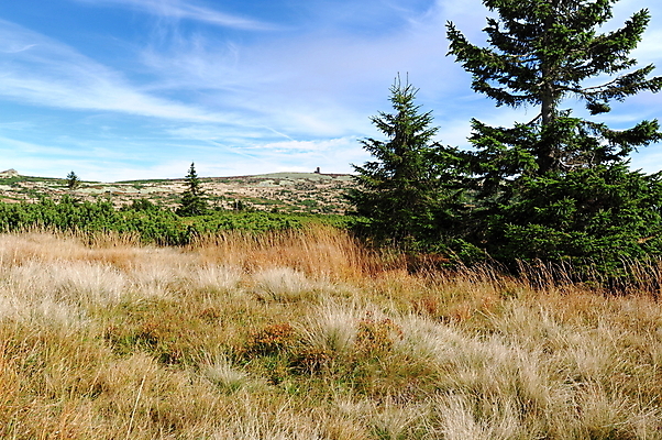 포토 JPG 해외이미지 나무 구름 계절 유럽 여행 백그라운드 자연 하늘 휴가 산 파노라마 풍경 사람없음 야외 초록색 환경 계곡 안개 가을 숲 언덕 내추럴 해외202004 해외포토 자연요소 식물 나라 컬러 날씨 촬영기법 생태계 파일형식 이미지허브