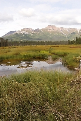 포토 JPG 해외이미지 나무 구름 공원 길 백그라운드 겨울 자국 자연 하늘 휴가 휴식 산 풍경 사람없음 야외 초록색 걷기 얼음 하이킹 시골 황무지 숲 오솔길 언덕 배낭여행 산등성이 빙하 장면 알래스카 고립 리갈 선로 전국 절정 해외202004 해외포토 자연요소 식물 계절 공공시설 컬러 여행 컨셉 모션 레저 미국 생태계 파일형식 이미지허브