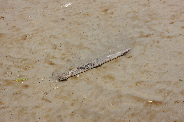 포토 JPG 해외이미지 구름 모래 파도 바다 여행 자연 조류 하늘 날씨 휴가 풍경 사람없음 초록색 물 여름 파란색 햇빛 반사 침묵 흰색 가장자리 수평선 해외202004 해외포토 자연요소 동물 계절 컬러 태양 소리 둘레 생태계 파일형식 이미지허브