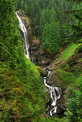 포토 JPG 해외이미지 나무 계절 공원 자연 산 풍경 사람없음 야외 초록색 물 여름 강 환경 계곡 봄 활발 폭포 젖음 흐름 가을 바위 신선 개울 떨어짐 숲 열대우림 실크 상록수 슬로프 내추럴 강렬 워싱턴 해외202004 해외포토 자연요소 식물 공공시설 컬러 컨셉 스키장 미국 돌_바위 직물 생태계 파일형식 이미지허브