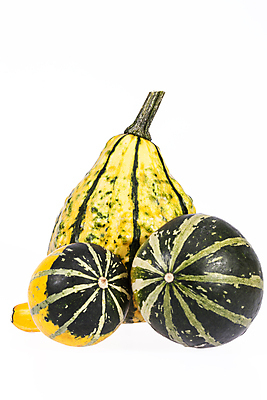 포토 JPG 해외이미지 계절 음식 백그라운드 채소 호박 사람없음 장식 초록색 노란색 할로윈 가을 흰색 그룹 9월 심볼 스쿼시 10월 고립 섞기 숙성 해외202004 해외포토 스포츠 컬러 구기 날짜 파일형식 이미지허브