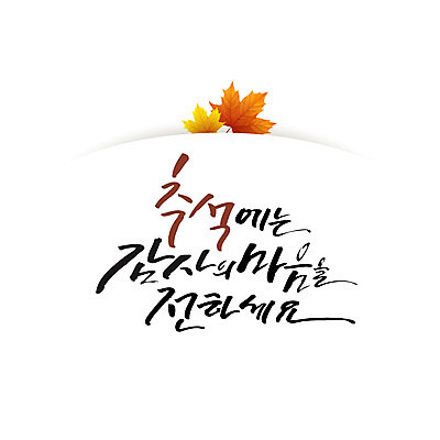 손글씨 단풍 낙엽 일러스트 캘리그라피 한글 사람없음 추석 감사 레터링 국내일러스트 AI파일 문자 명절 감정 잎 파일형식 벡터