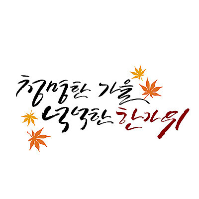 손글씨 단풍 낙엽 일러스트 캘리그라피 한글 사람없음 추석 가을 청명 풍요 레터링 국내일러스트 AI파일 문자 계절 명절 컨셉 잎 파일형식 벡터