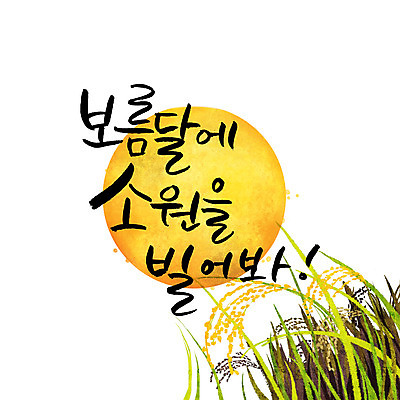 손글씨 일러스트 캘리그라피 한글 사람없음 추석 벼 보름달 소원 소원빌기 레터링 국내일러스트 AI파일 문자 명절 곡류 달 파일형식 벡터