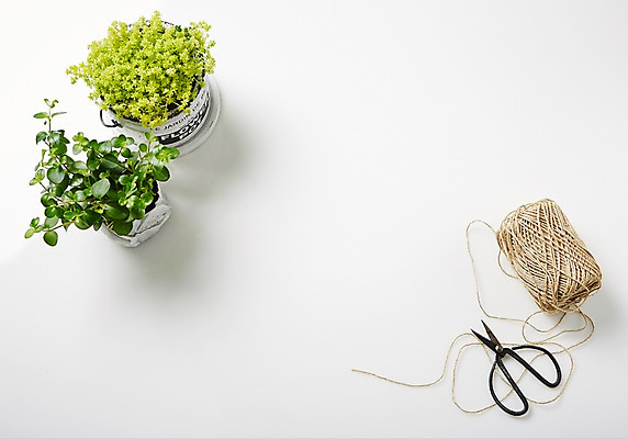 포토 JPG 스튜디오촬영 식물 화분 자연 가위 실내 사람없음 원예 노끈 싱그러움 원예용품 국내포토 줄 생활용품 문구용품 취미 내부 생태계 파일형식