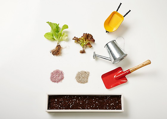 포토 JPG 스튜디오촬영 식물 화분 자연 실내 사람없음 흙 물뿌리개 상추 모종삽 원예 모종 싱그러움 원예용품 국내포토 생활용품 채소 취미 내부 삽 생태계 파일형식