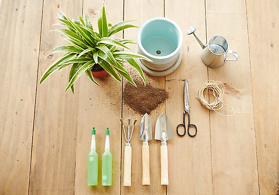 포토 JPG 스튜디오촬영 식물 화분 자연 가위 실내 사람없음 흙 물뿌리개 모종삽 원예 노끈 싱그러움 영양제 원예용품 국내포토 줄 생활용품 문구용품 취미 내부 약 삽 생태계 파일형식