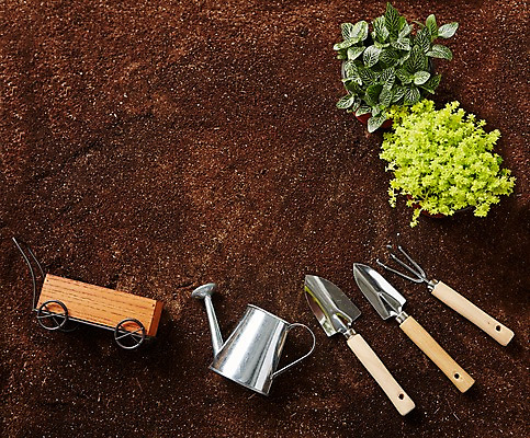 포토 JPG 식물 화분 자연 실내 사람없음 물뿌리개 오염 모종삽 원예 싱그러움 원예용품 토양오염 국내포토 생활용품 취미 내부 환경오염 삽 생태계 파일형식