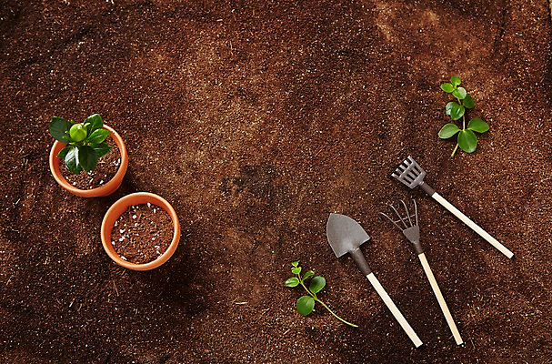 포토 JPG 식물 화분 자연 실내 사람없음 흙 모종삽 원예 싱그러움 원예용품 국내포토 생활용품 취미 내부 삽 생태계 파일형식