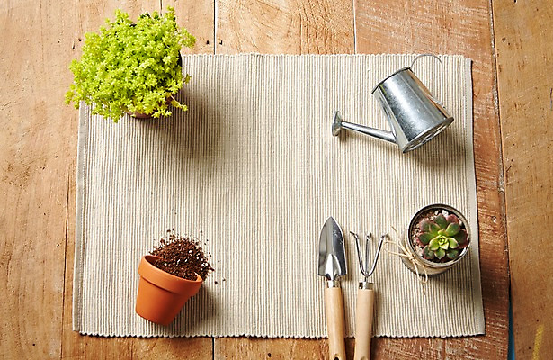 포토 JPG 스튜디오촬영 식물 화분 자연 실내 사람없음 흙 물뿌리개 모종삽 원예 다육식물 싱그러움 원예용품 국내포토 생활용품 취미 내부 삽 생태계 파일형식