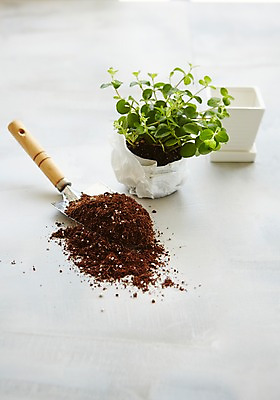 포토 JPG 스튜디오촬영 식물 화분 자연 실내 사람없음 흙 모종삽 원예 싱그러움 원예용품 국내포토 생활용품 취미 내부 삽 생태계 파일형식