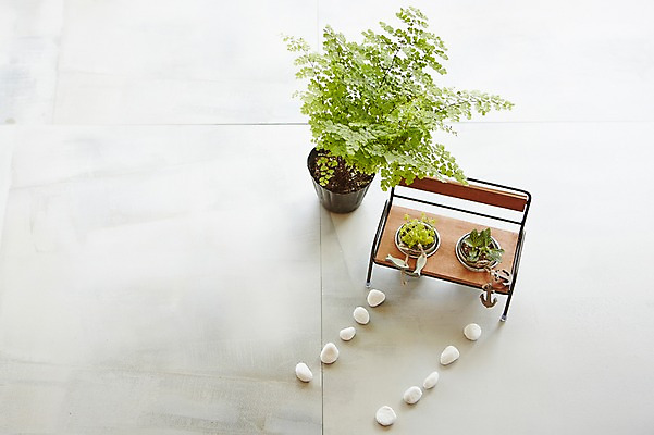 포토 JPG 스튜디오촬영 식물 화분 벤치 자연 실내 사람없음 돌_바위 원예 다육식물 싱그러움 국내포토 의자 취미 내부 생태계 파일형식