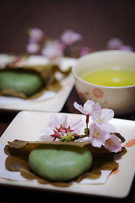 포토 JPG 접시 음식 일본문화 실내 사람없음 아웃포커스 일본 벚꽃 차 찻잔 다과 모찌 일본음식 국내포토 동양문화 식기 꽃 아시아 음료 외국문화 디저트 잔 촬영기법 내부 파일형식