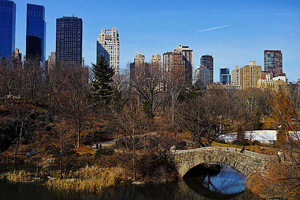 포토 JPG 주간 나무 공원 호수 하늘 풍경 빌딩 여러명 야외 도시 뉴욕 센트럴파크 가교 국내포토 자연요소 식물 건축물 공공시설 다수 사람 건물 미국 파일형식