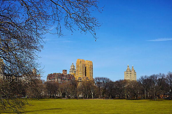 포토 JPG 주간 나무 구름 공원 하늘 풍경 빌딩 잔디 사람없음 야외 도시 뉴욕 센트럴파크 국내포토 자연요소 식물 공공시설 건물 미국 파일형식