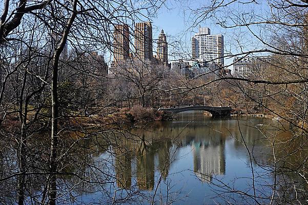 포토 JPG 주간 나무 공원 호수 물그림자 풍경 빌딩 사람없음 야외 도시 뉴욕 센트럴파크 국내포토 자연요소 식물 공공시설 그림자 건물 미국 파일형식