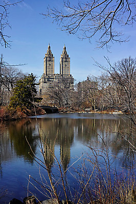 포토 JPG 주간 나무 공원 호수 하늘 물그림자 풍경 빌딩 사람없음 야외 도시 뉴욕 센트럴파크 국내포토 자연요소 식물 공공시설 그림자 건물 미국 파일형식