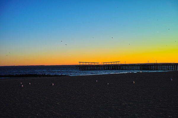 포토 JPG 갈매기 하늘 풍경 해변 야외 노을 일몰 뉴욕 나무다리 선창가 국내포토 자연요소 바다 조류 미국 다리_건축물 파일형식
