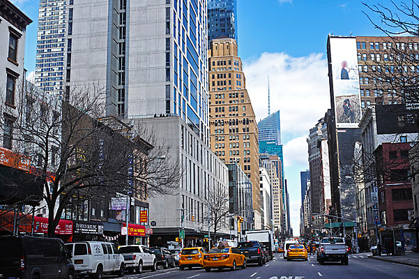 포토 JPG 주간 나무 구름 도로 자동차 하늘 거리풍경 풍경 빌딩 야외 도시 뉴욕 국내포토 자연요소 식물 길 육상교통 교통시설 거리 건물 미국 파일형식