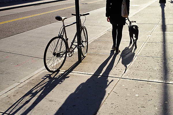 포토 JPG 주간 여자 도로 그림자 거리풍경 한명 풍경 야외 뒷모습 자전거 하반신 도시 개 뉴욕 반려 국내포토 자연요소 1 길 뷰포인트 포유류 교통시설 거리 사람 바이크 미국 파일형식