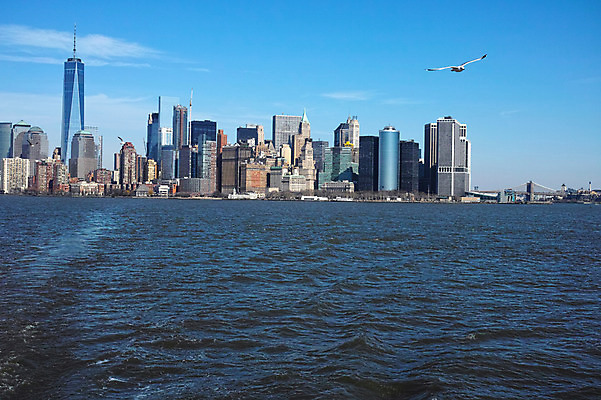 포토 JPG 주간 구름 갈매기 하늘 풍경 빌딩 사람없음 야외 강 도시 뉴욕 허드슨강 국내포토 자연요소 조류 건물 미국 파일형식