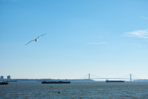 포토 JPG 주간 구름 갈매기 하늘 풍경 사람없음 야외 강 도시 뉴욕 허드슨강 가교 선박 국내포토 자연요소 건축물 수상교통 조류 미국 파일형식