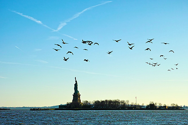 포토 JPG 주간 구름 갈매기 하늘 풍경 사람없음 야외 강 도시 뉴욕 자유의여신상 허드슨강 국내포토 자연요소 조류 미국 세계문화유산 파일형식