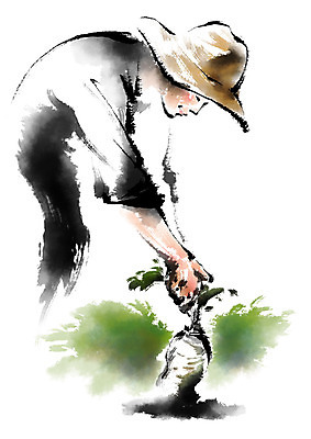 PSD 남자 일러스트 캘리그라피 허리숙이기 한명 성인 농작물 농사 수확 농부 무 밀짚모자 국내일러스트 직업 모자_잡화 1 농업 뿌리채소 숙이기 사람 파일형식