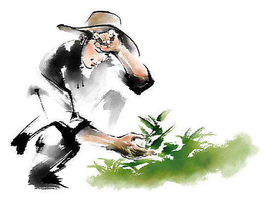 PSD 남자 일러스트 캘리그라피 한명 앉기 성인 농사 농부 밀짚모자 땀흘리기 국내일러스트 직업 모자_잡화 1 컨셉 농업 모션 사람 파일형식