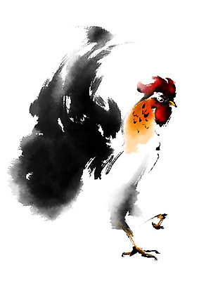 PSD 한마리 일러스트 캘리그라피 사람없음 가축 닭 국내일러스트 동물 1 조류 파일형식