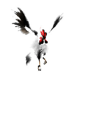 PSD 한마리 일러스트 캘리그라피 사람없음 가축 닭 날갯짓 국내일러스트 동물 1 조류 파일형식