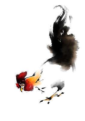 PSD 한마리 일러스트 캘리그라피 사람없음 가축 닭 국내일러스트 동물 1 조류 파일형식