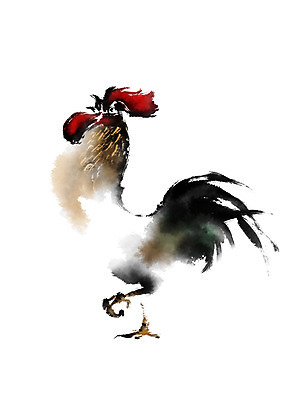 PSD 한마리 일러스트 캘리그라피 사람없음 가축 닭 국내일러스트 동물 1 조류 파일형식