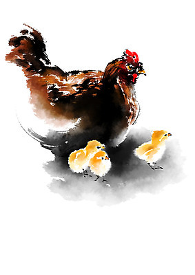 PSD 새끼 여러마리 일러스트 캘리그라피 병아리 사람없음 가축 닭 어미 국내일러스트 동물 다수 조류 파일형식