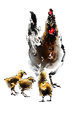 PSD 새끼 여러마리 일러스트 캘리그라피 병아리 사람없음 가축 닭 어미 국내일러스트 동물 다수 조류 파일형식