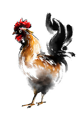 PSD 한마리 일러스트 캘리그라피 사람없음 가축 닭 국내일러스트 동물 1 조류 파일형식