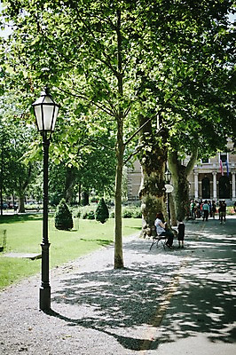 포토 JPG 주간 외국인 나무 해외풍경 공원 유럽 가로등 거리 풍경 여러명 야외 보행자 크로아티아 동유럽 국내포토 자연요소 식물 해외 공공시설 나라 다수 사람 인종 파일형식
