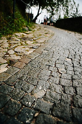 포토 JPG 주간 해외풍경 유럽 거리 바닥 풍경 사람없음 야외 수분 동유럽 슬로베니아 국내포토 자연요소 해외 나라 파일형식