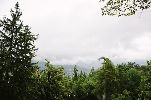 포토 JPG 주간 나무 해외풍경 유럽 산 풍경 사람없음 야외 흐림 동유럽 슬로베니아 국내포토 자연요소 식물 해외 나라 날씨 파일형식