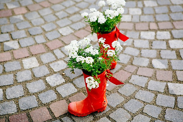 포토 JPG 주간 해외풍경 꽃 유럽 화분 바닥 장화 풍경 사람없음 야외 도시풍경 동유럽 슬로베니아 국내포토 자연요소 식물 해외 나라 신발 도시 파일형식