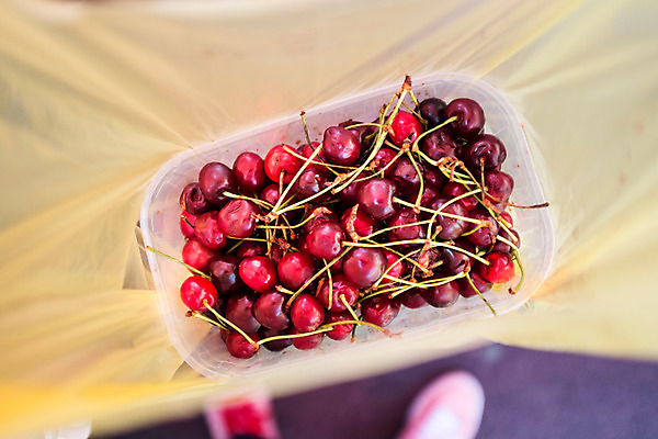 포토 JPG 주간 해외풍경 유럽 비닐봉투 사람없음 야외 하이앵글 체리 크로아티아 동유럽 자그레브 플라스틱통 국내포토 자연요소 해외 나라 뷰포인트 과일 봉투 통 풍경 플라스틱 파일형식