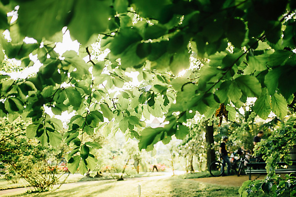 포토 JPG 주간 외국인 해외풍경 공원 유럽 나뭇잎 풍경 야외 두명 초록색 햇빛 크로아티아 동유럽 라이딩 자그레브 국내포토 자연요소 해외 공공시설 나라 컬러 잎 사람 인종 태양 파일형식